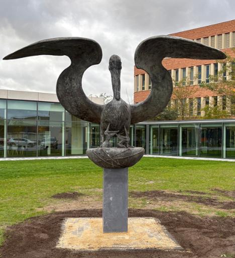 Ajoyib kokrak fotosuratlari